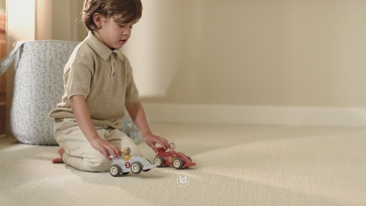 Pull back Race Cars (Pack of 2)