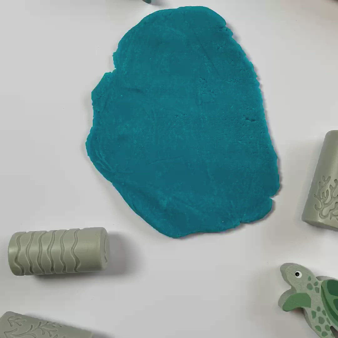 Load and play video in Gallery viewer, Ocean Life Creative Rollers - Yellow Door

